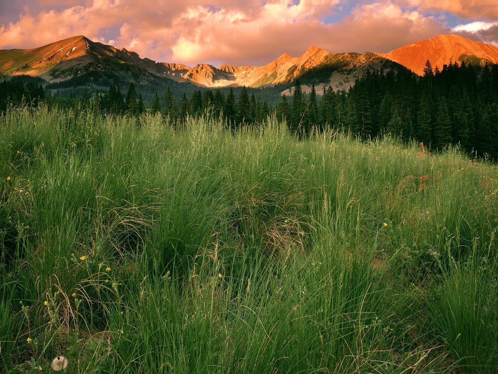 colorado park wolken gras berge