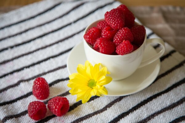 Grosses framboises mûres dans une tasse à café avec une soucoupe