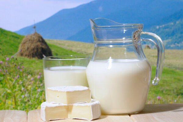 Milch in einer Karaffe auf einem Feldhintergrund