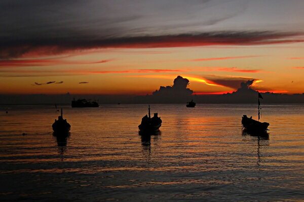 Return of boats at sunset