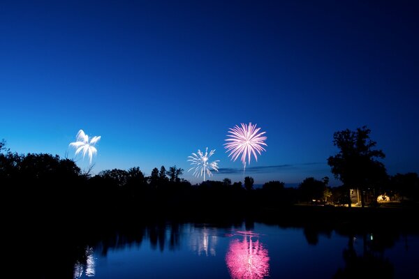 Fuegos artificiales por la noche, fiesta con fuegos Artificiales, fuegos artificiales por la noche