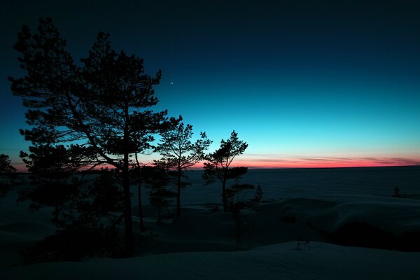 Bäume vor dem Hintergrund des Winter Sonnenuntergang