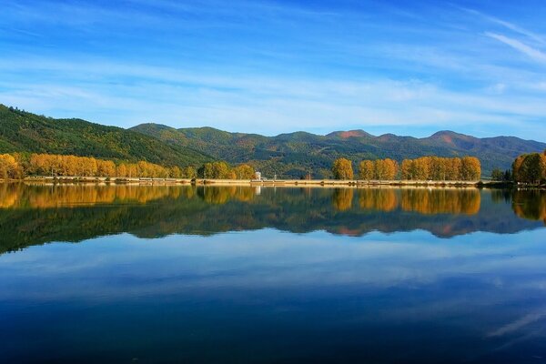 Reflexion der Bäume im See