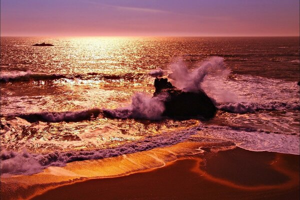 Pink sunset on the sea beach