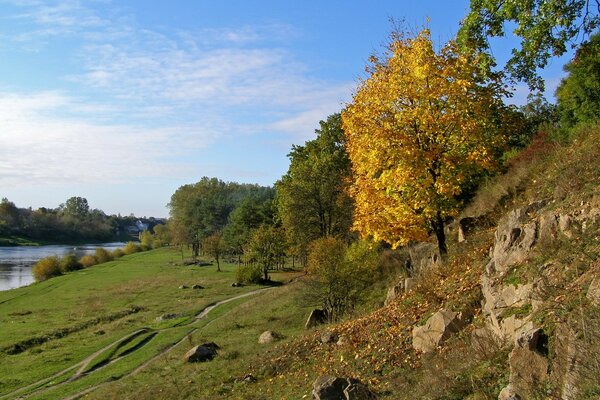 Arbres d automne et rive de la rivière