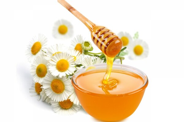 Beautiful image of daisies and honey