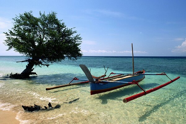 Imagen de un barco y un árbol en la playa