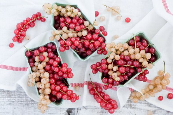 Berry brushes of red currant