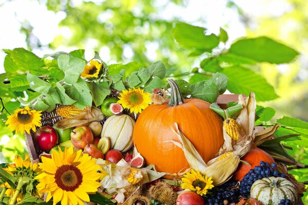 Composición de otoño brillante de la comida