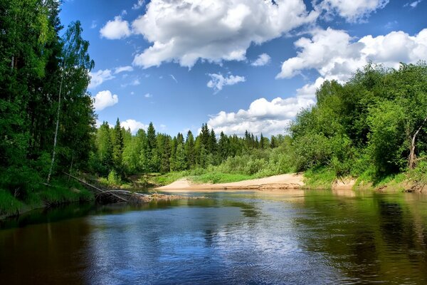 Fluss im grünen Wald unter den Wolken