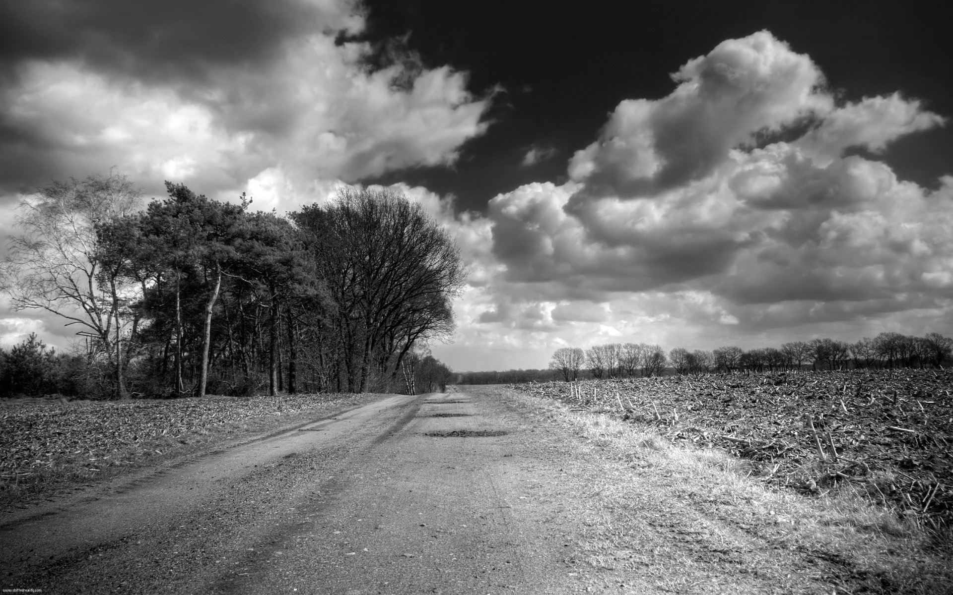 camino nubes campo blanco y negro