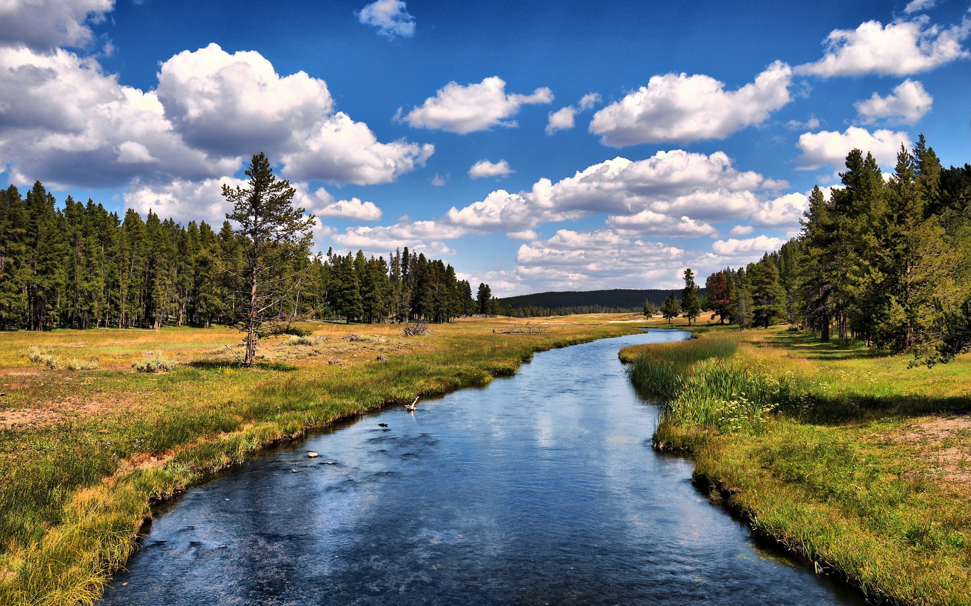 río bosque árboles nubes cielo