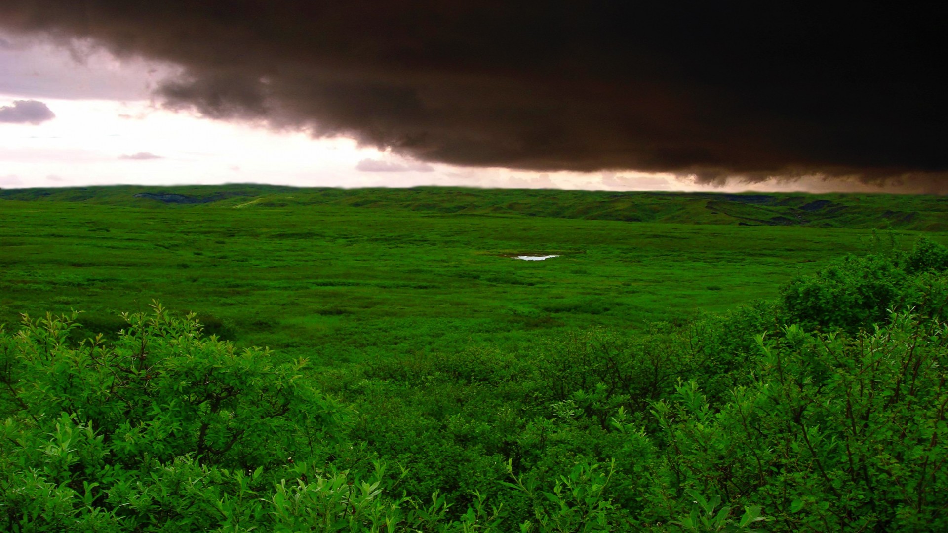 grün gras wolken sturm feld