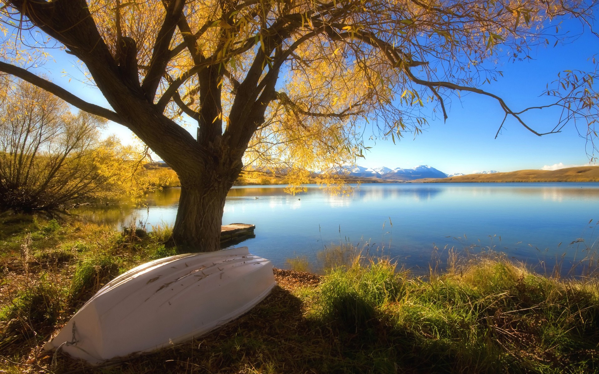 boat tree lake autumn