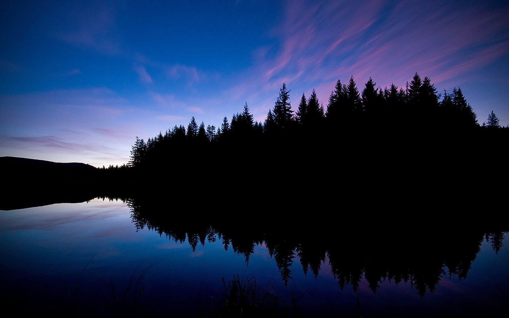 foresta sera lago riflessione nero