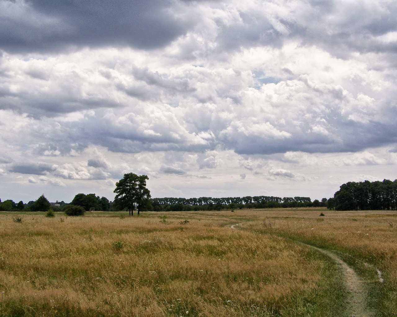 campo estate nuvole