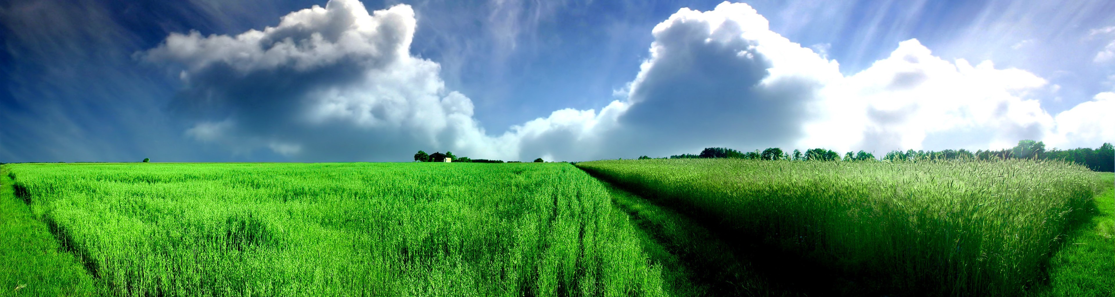 campo panorama nubes verde