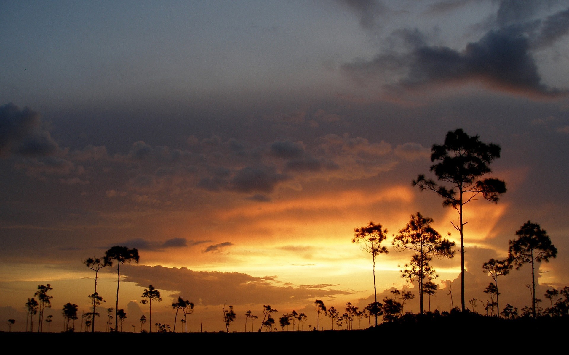 tramonto alberi nuvole cielo