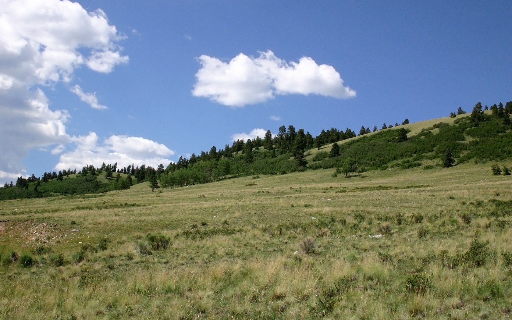 colina campo árboles nubes