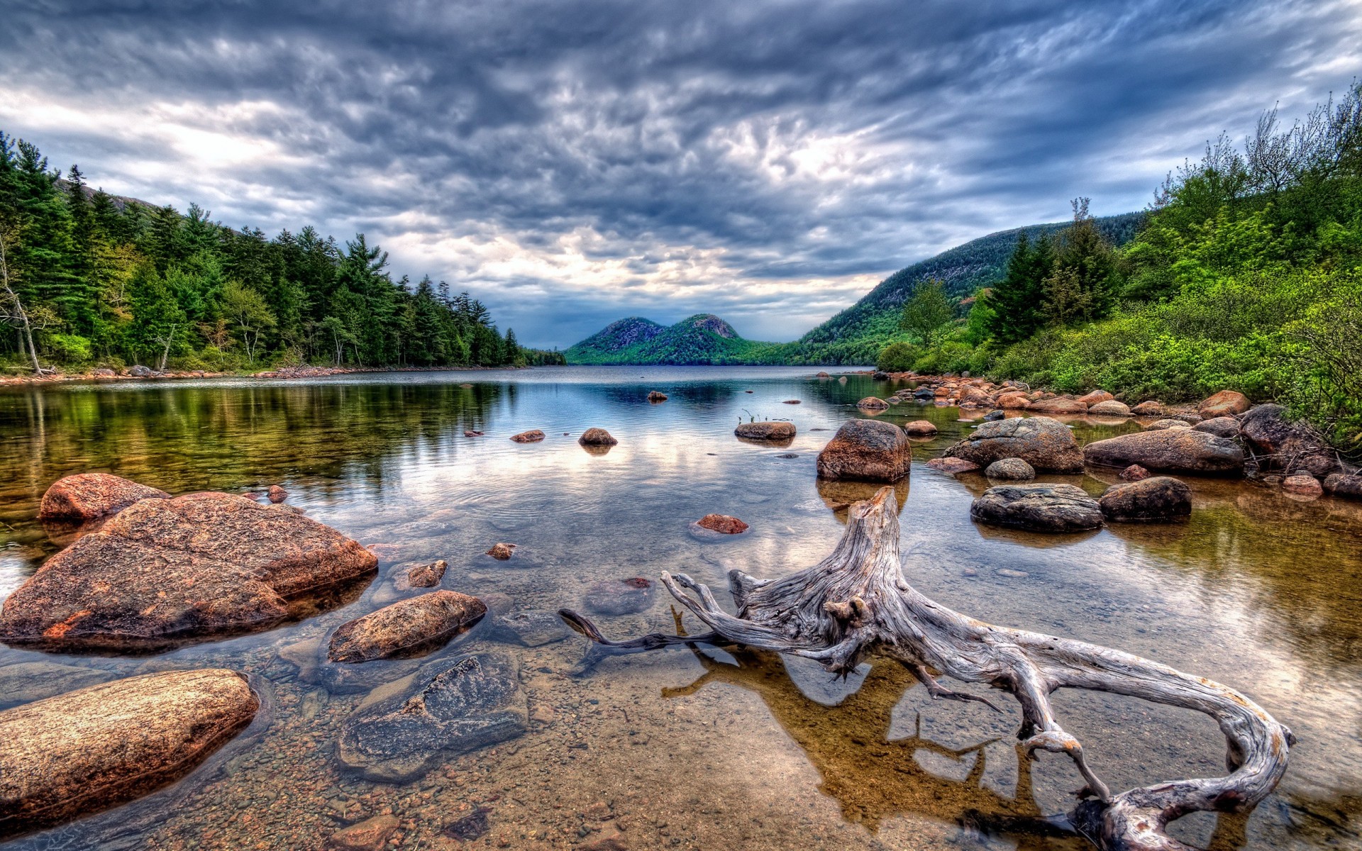 lago pietre radice legni