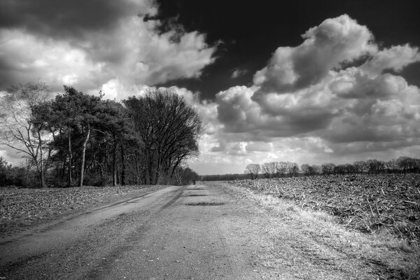 El camino en blanco y negro hacia adelante