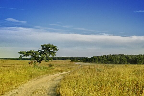 Der Weg in die Ferne mitten auf dem Feld. Ein heißer Tag