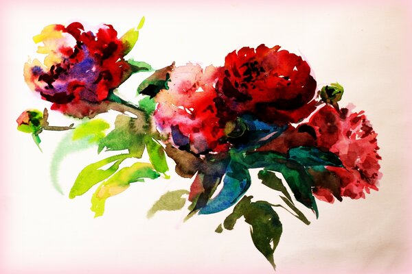 Beautiful flowers painted in watercolor