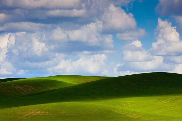 Photo on the desktop. A green field with hills. Low-lying clouds