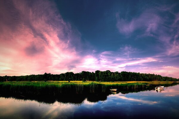 Sunset over the lake and green forest