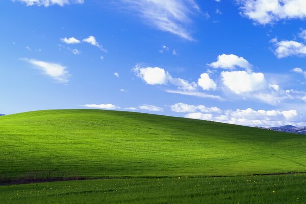 Foto Landschaft grüner Hügel