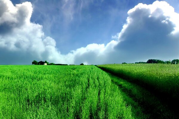 Panorama del campo con le nuvole