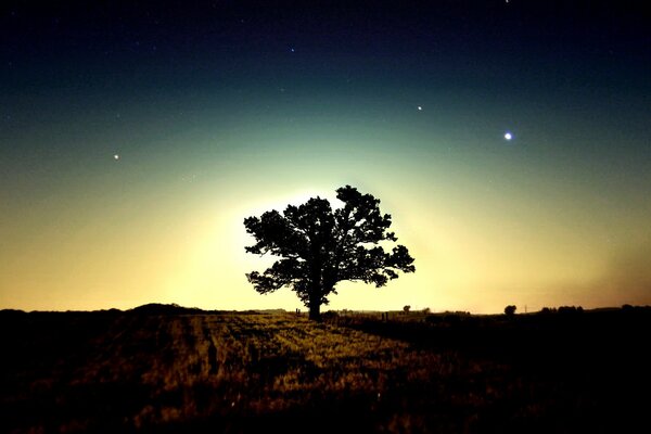 Brillantes estrellas de la mañana en el cielo