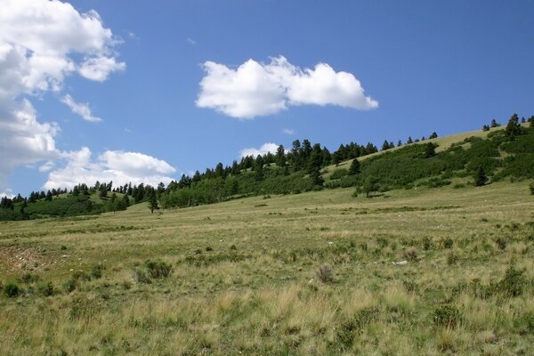 Bellissimo paesaggio del campo con la collina