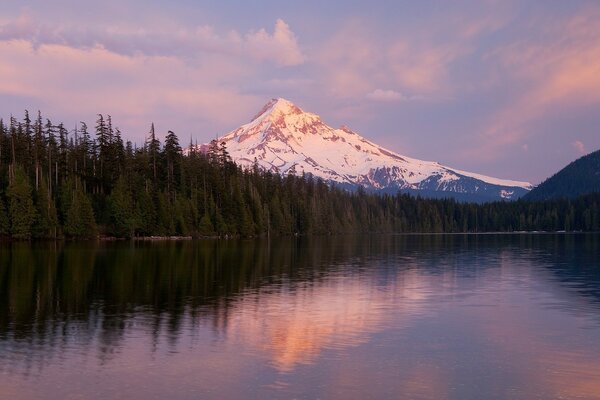 The beauty of mountain nature in the forest