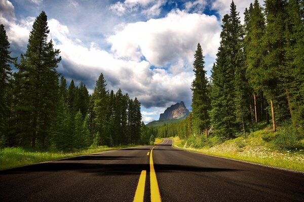 A quiet road in the forest