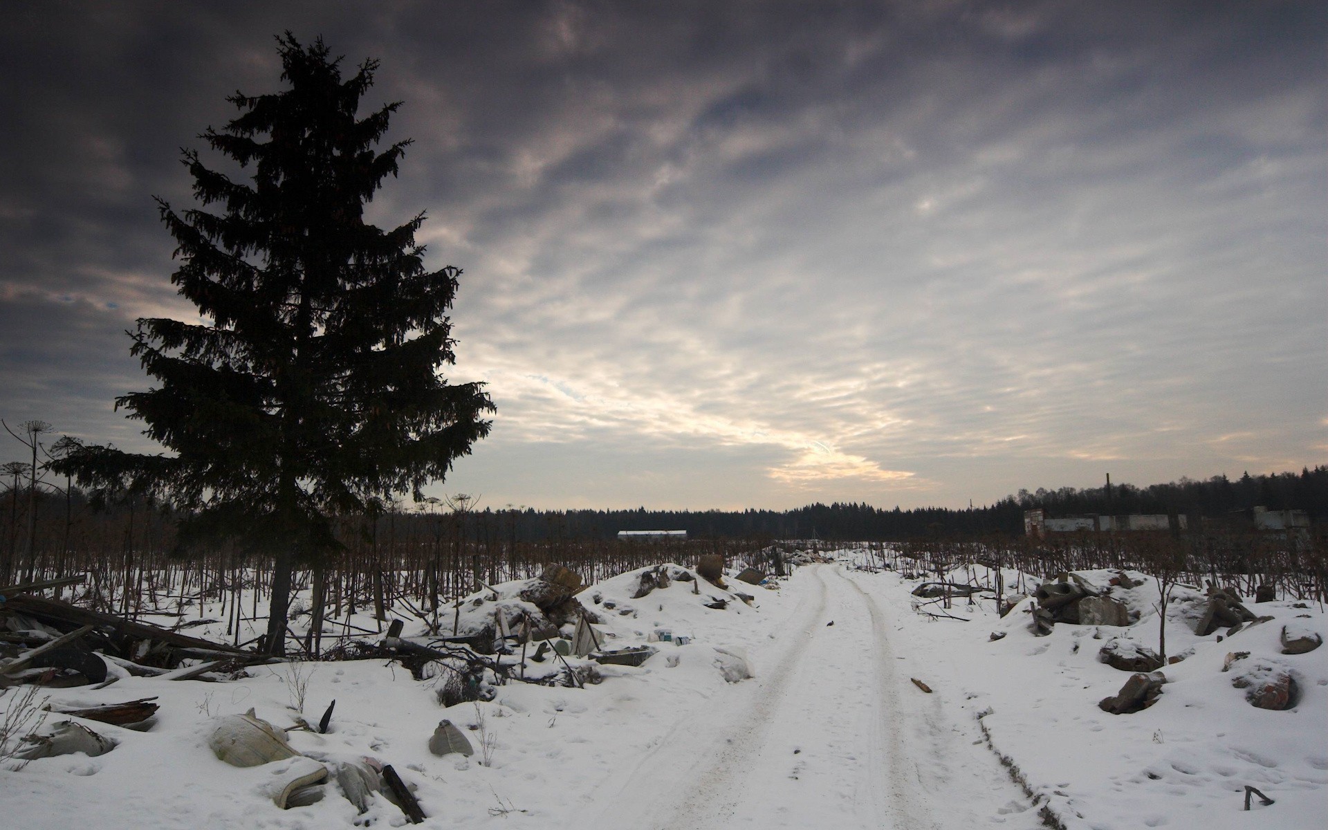 winter road waste tree sky sadne