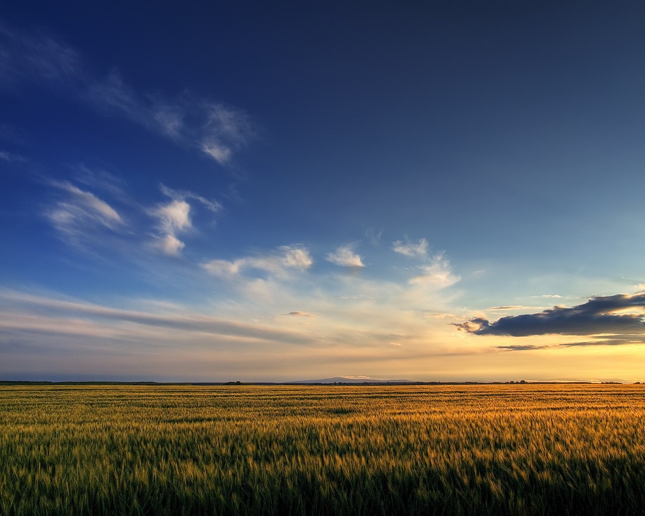 feld himmel wolken