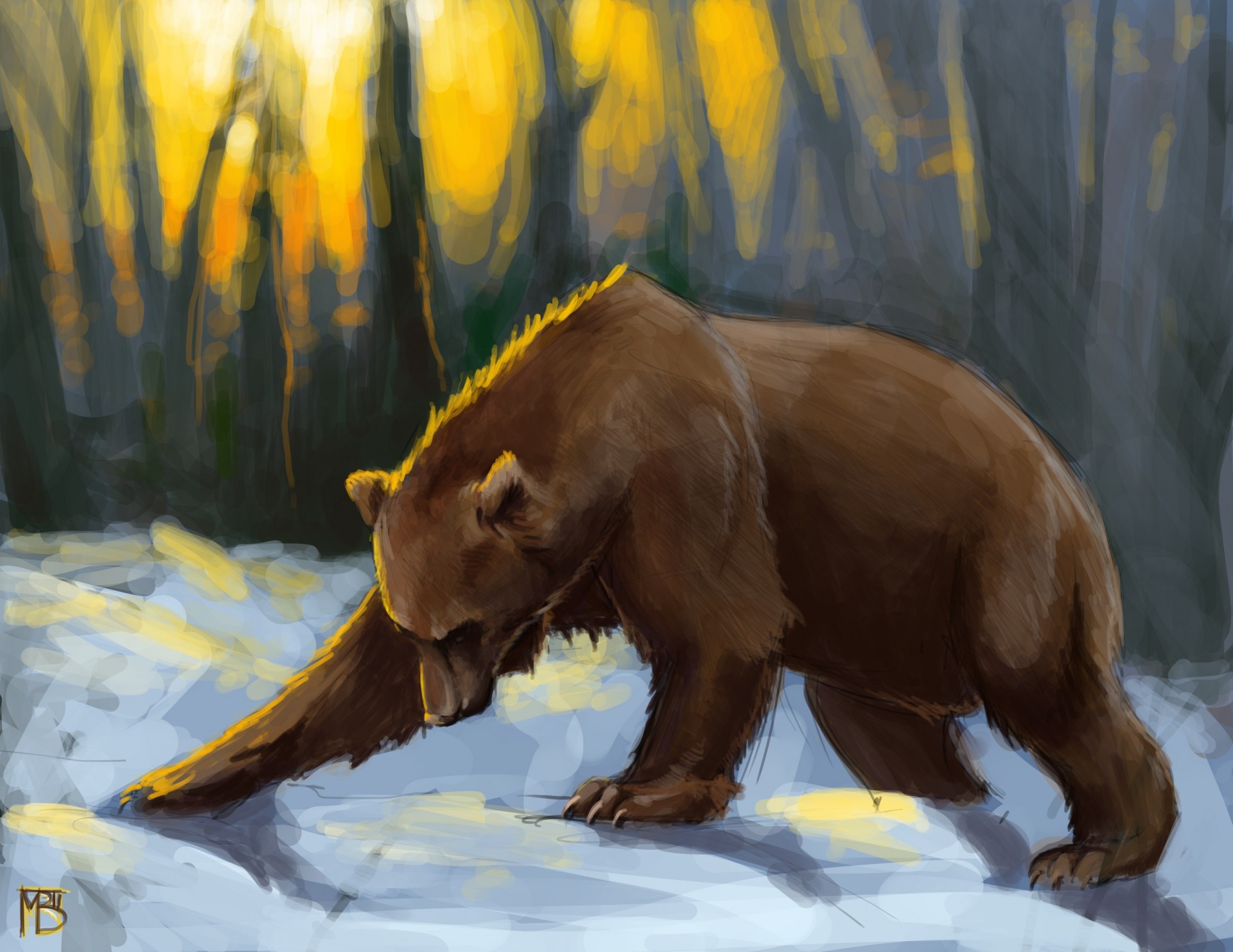 un rays art sunset bear forest snow brown bear