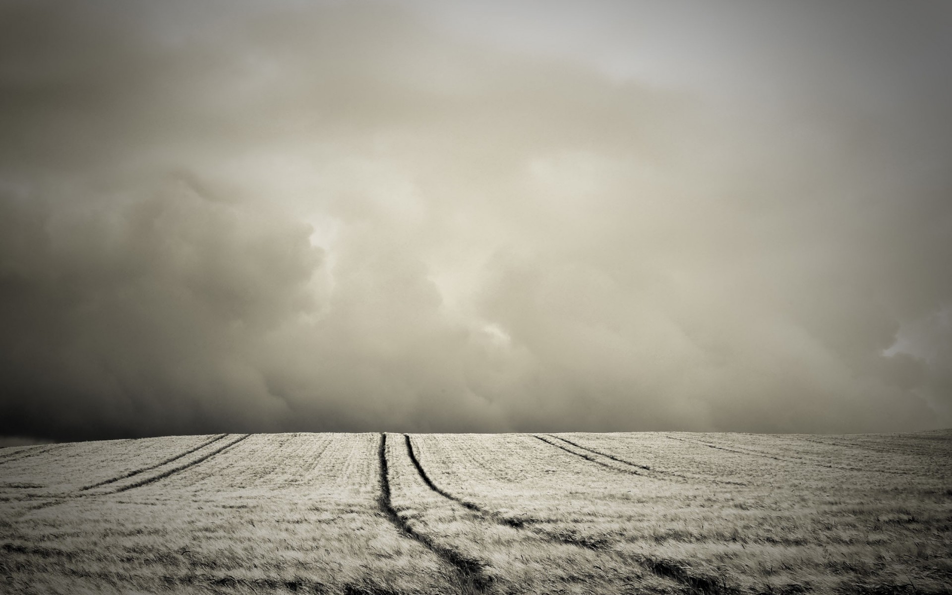 the field hill sepia