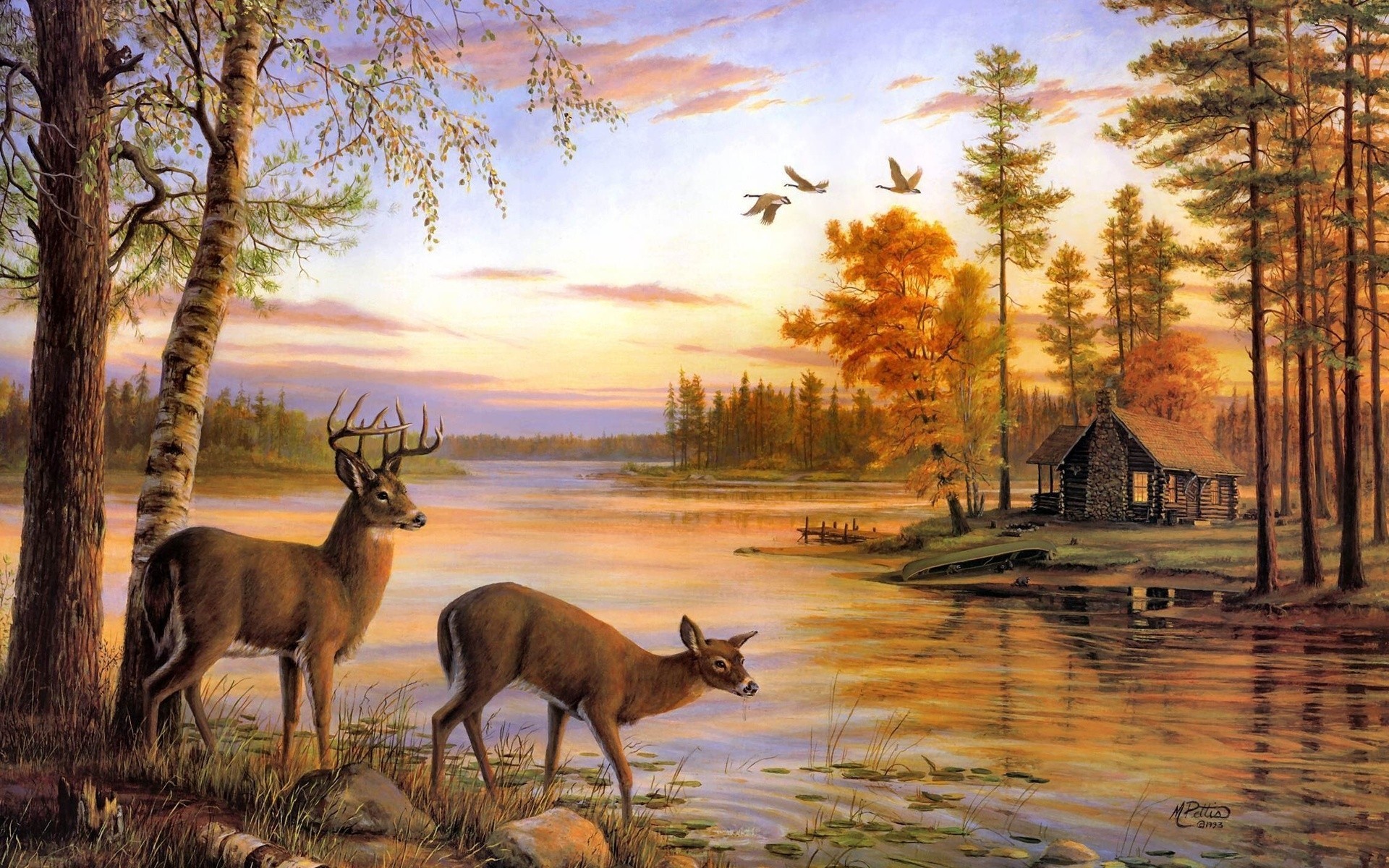 lake river nature forest reindeer house birds beautiful