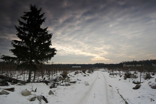 Strada invernale sporca e oscura