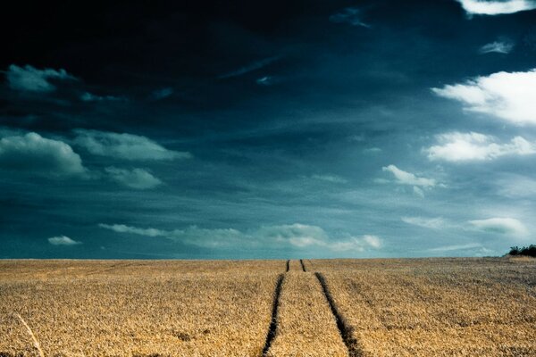 A deserted road in the middle of a field