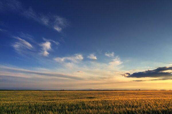 Russisches Feld. Himmel und Wolken