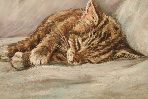 Dibujo de un gatito dormido. Artista d. bargur