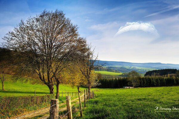 Fence along the road near a tree in a field