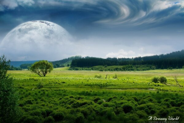 Eine verträumte Welt inmitten von Feldern, Wäldern, Wolken unter dem Mond