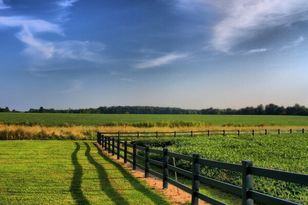 Green field with wooden fence