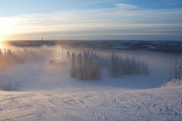 Skiing in the winter morning forest