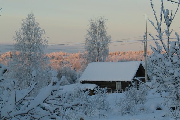 Casa solitaria tra alberi innevati