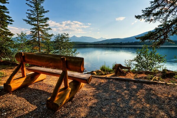 Banc solitaire au bord du lac. Beauté